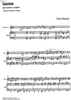 Canzona - Score
