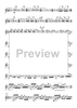 Bass Clarinet Double Concerto - Solo Bass Clarinet 2