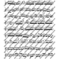 Hamburger Sonate G major