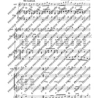 Zogen einst fünf wilde Schwäne