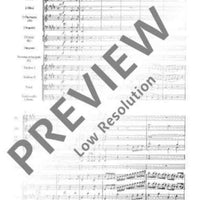 Concerto E Major - Full Score