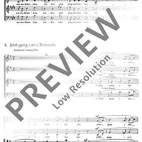 Die Brünnlein, die da fließen - Choral Score