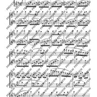 Duo D major - Performing Score