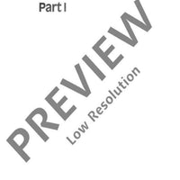 The Modern Recorder Player