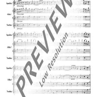 The Christmas Story - Recorder