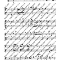 Concerto grosso in G major - Set of Parts