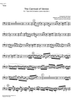 Carnival of Venice - Tuba