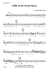 Cliffs of the North Shore - Double Bass