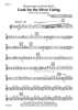 Humoresque on Jerome Kern's Look for the Silver Lining (With some extra padding) - Flute 2