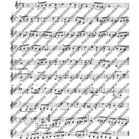 Tambourin - Set of Parts