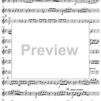 Concerto for Mandolin and Orchestra in F major - Violin 1