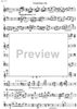 Contrabbasso concertante - Double Bass