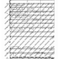 Concerto for Orchestra - Full Score