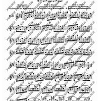 100 Technical Paraphrases on Kreutzer-Etudes