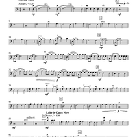 Magic of the Great Lakes - Double Bass