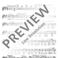 Das Jahr im Lied - Soprano