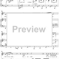 Moments in the Woods