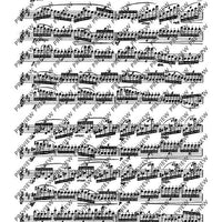 The Flutist's Progress