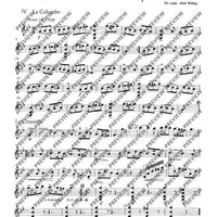 Tambourin - Set of Parts