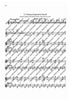 Carmina Burana - Percussion 2