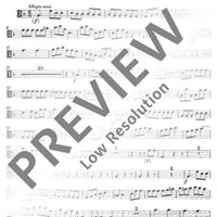 Concerto F Major - Viola