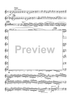 The Yellow Rose of Texas Variations - Solo Trumpet