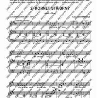 Kazdá z jiné kapsy