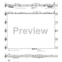 Suzuki Violin School, Volume 5 - Violin Part