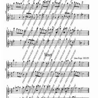 The Flourishing Baroque Period - Performing Score