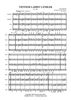 Viennese Ladies' Ländler - Score