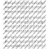 Tower music - Score (also Performing Score)