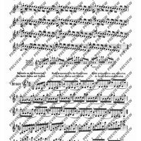 100 Technical Paraphrases on Kreutzer-Etudes