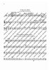 Carmina Burana - Timpani