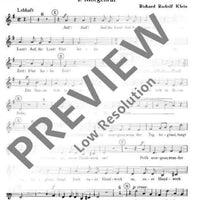 Lob des Sommers - Alto