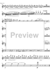 Argentinian Rhapsody - Flute