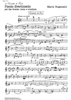 Piccolo divertimento - F Horn