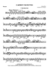 Carmen Vignettes - Bassoon