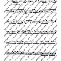 12 Etudes-Caprices caractéristiques