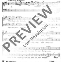 Spanisches Liederspiel - Tenor / Bass