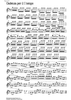 Cadenza Concerto RV208 Grosso Mogul 1st and 3rd movement - Violin