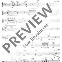 Music for Alto Recorder