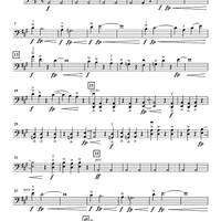 Feel the Fire - Violoncello