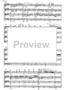 Chaconne on a theme by Eduard Toldrà - Score