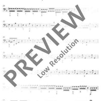 L'estro Armonico - Violone