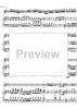 Concerto No. 2 C Major KV314 - Score