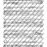 Grand Duo concertant