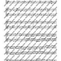 Flute Duets - Performing Score