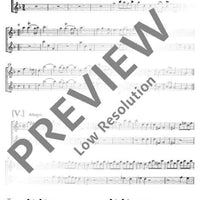 Concerto grosso G Minor - Violin I Solo/rip.