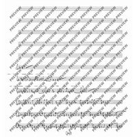 Collected Studies for Player Piano