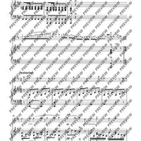 Variationen über „Nel cor più non mi sento“